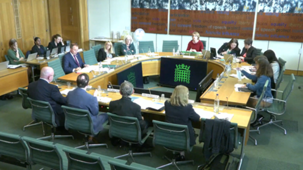 Select Committees