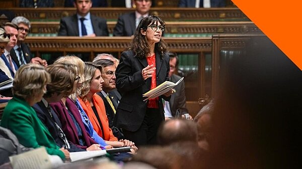 Parliament, Government and Politics